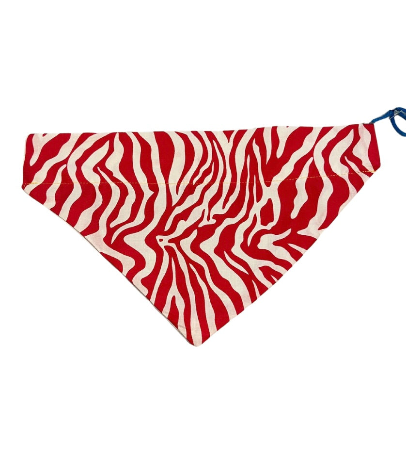 Zebra - Bandana SMALL