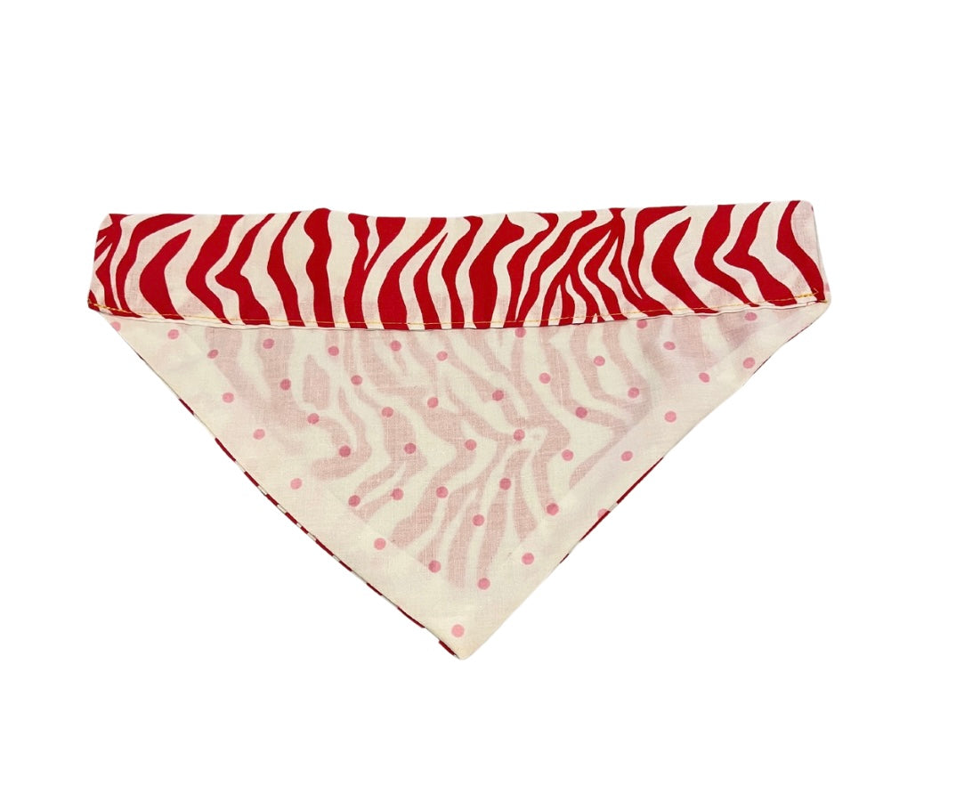 Zebra - Bandana SMALL